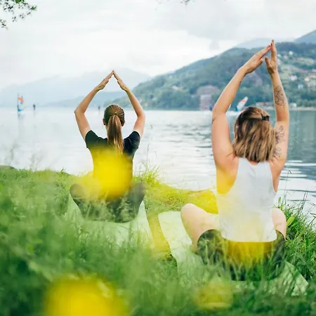 بيت خشبي Eco Millstaetter