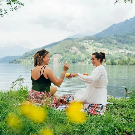 Eco Millstaetter بيت خشبي