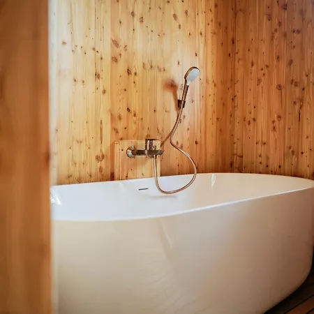 Eco Millstaetter بيت خشبي